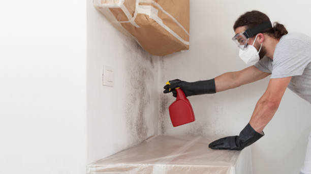Professional Mold Removal technician working in Windsor, NJ