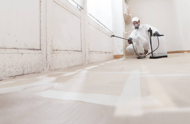 24/7 Emergency Mold Removal experts in Windsor, NJ